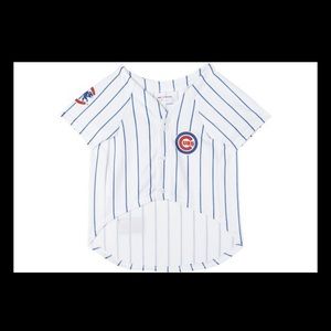 Pet Chicago Cubs jersey